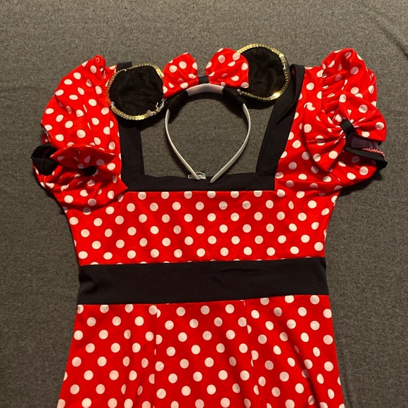 J Valentine Minnie Mouse Costume - Picture 1 of 6